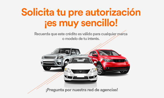Inicio